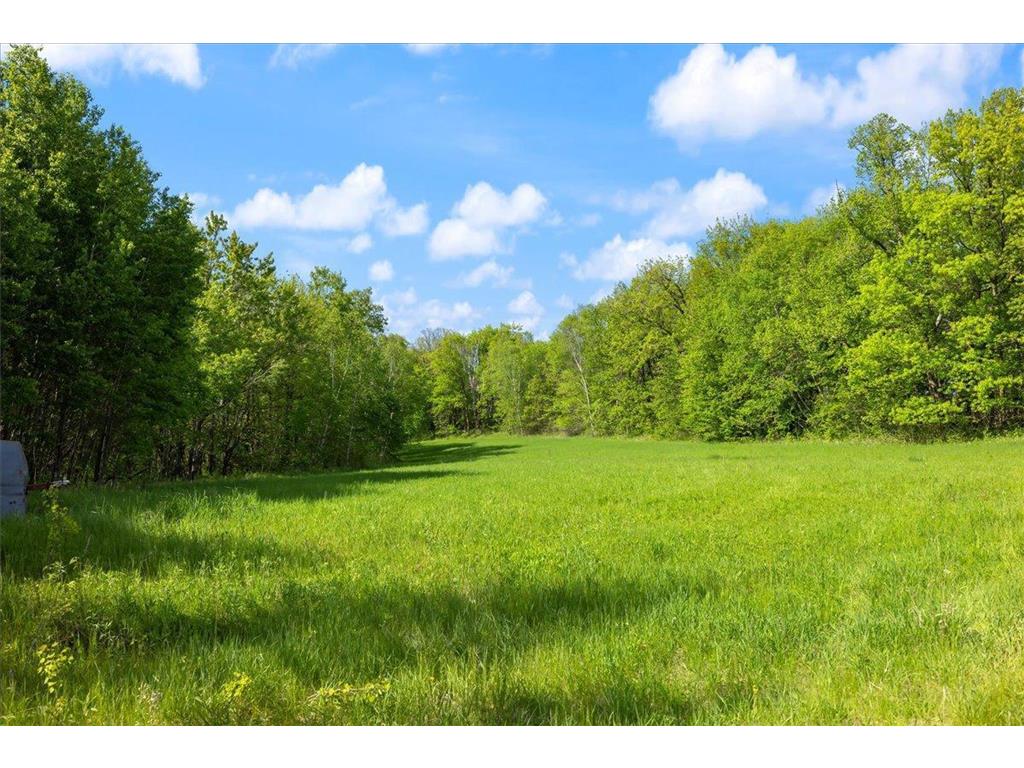 51325 Great River Road Palisade MN 56469 - Mississippi 6821197 image19