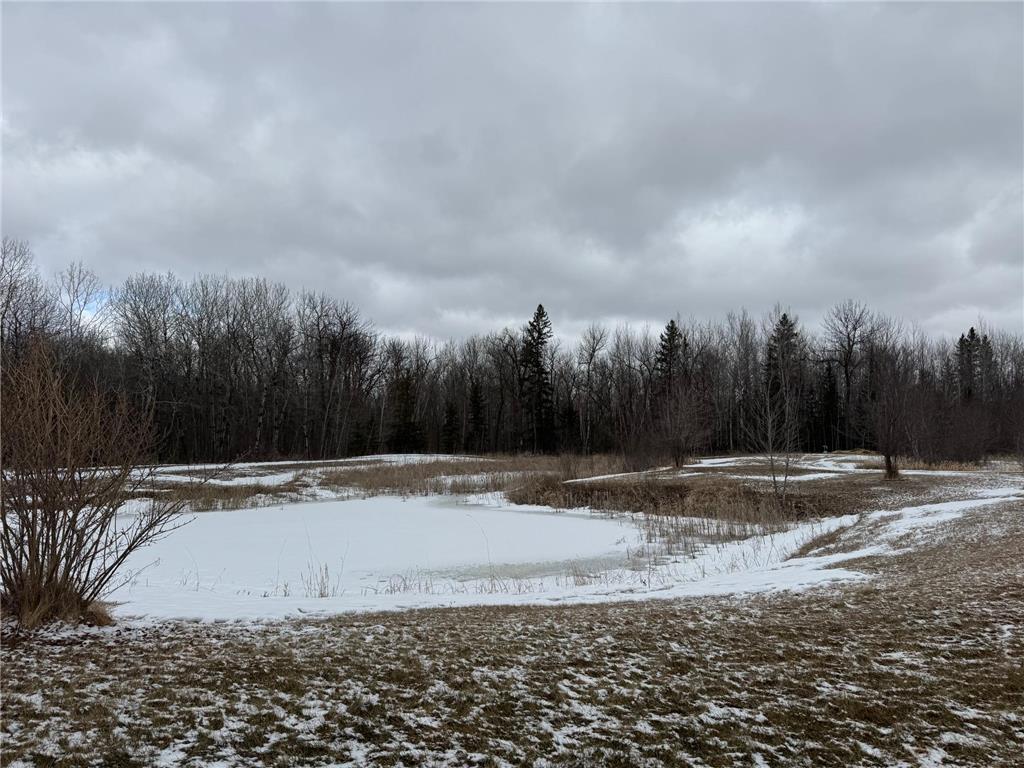 51339 350th Street Salol MN 56756 7041907 image24