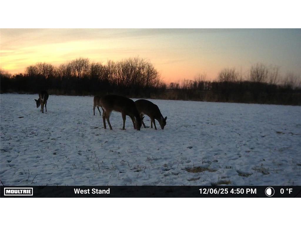 51339 350th Street Salol MN 56756 7041907 image27