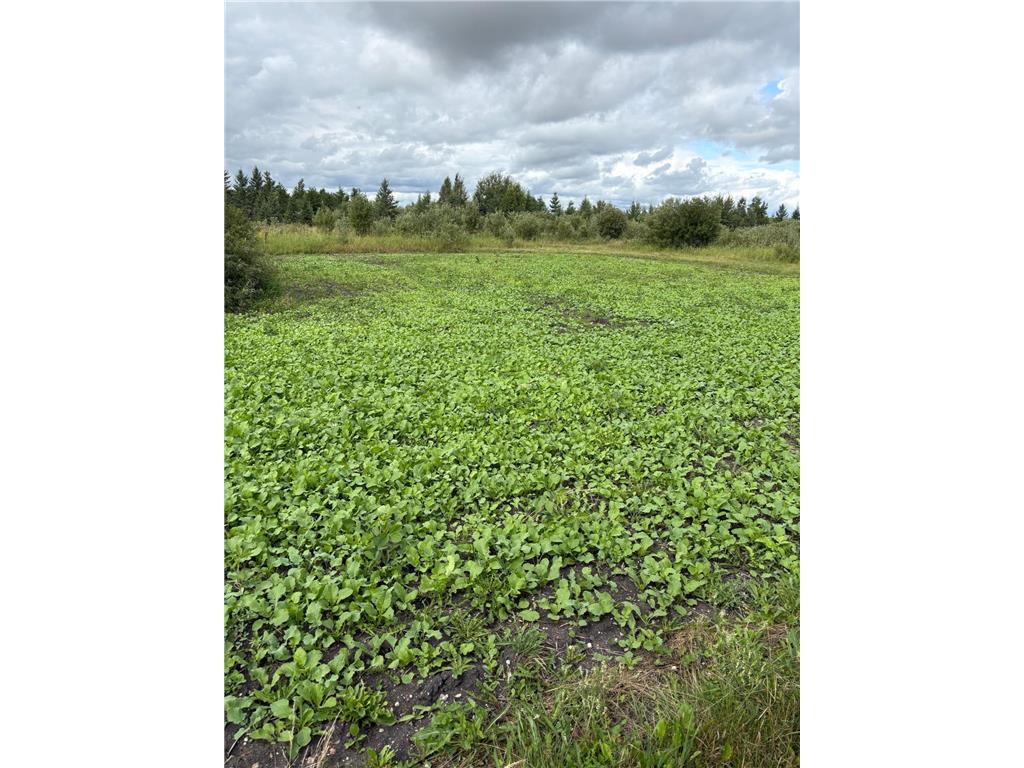 51339 350th Street Salol MN 56756 7041907 image31