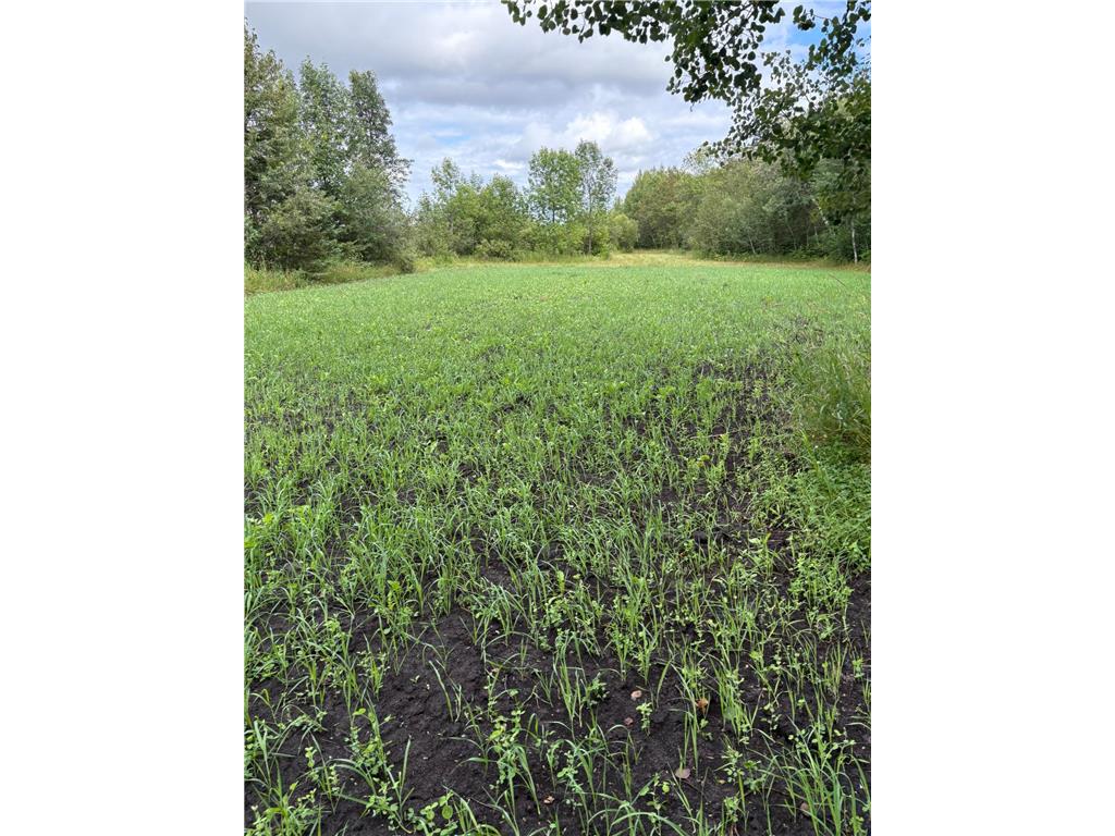 51339 350th Street Salol MN 56756 7041907 image32