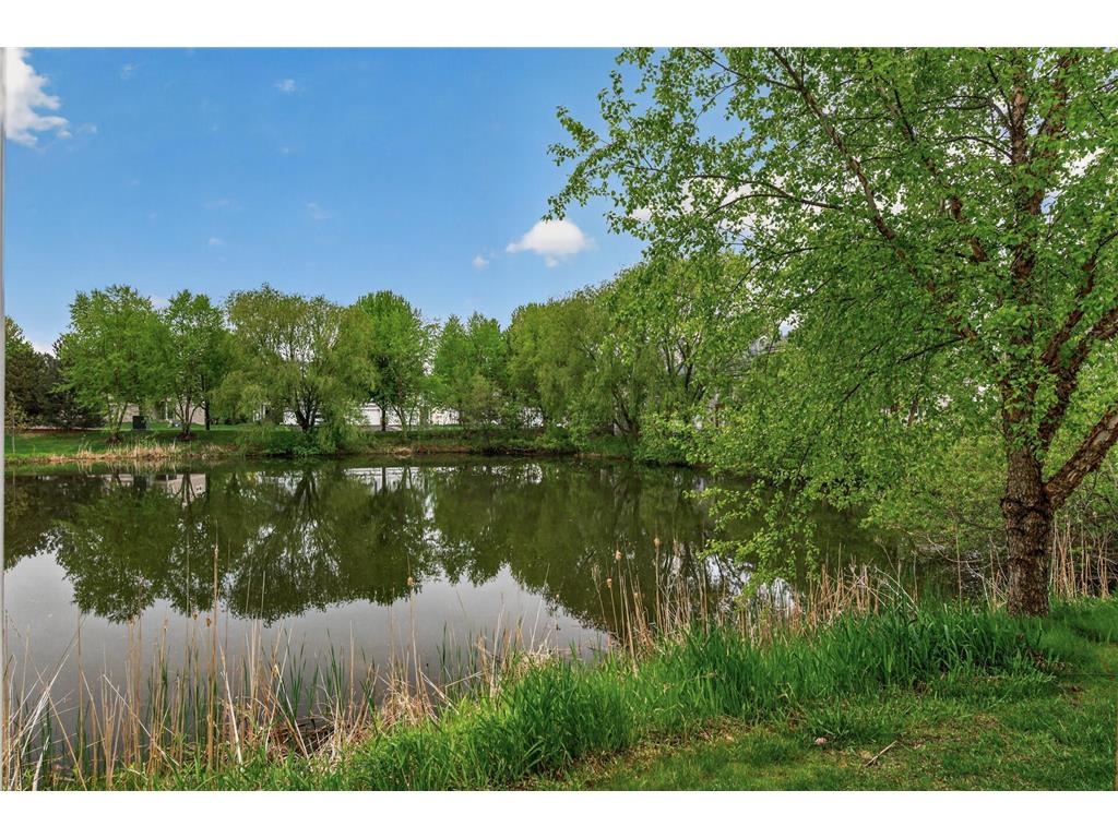 5135 Farnham Drive N Hugo MN 55038 7076085 image2