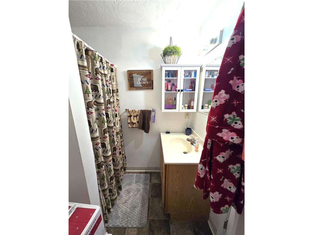 514 Main Street E New Prague MN 56071 7082202 image35