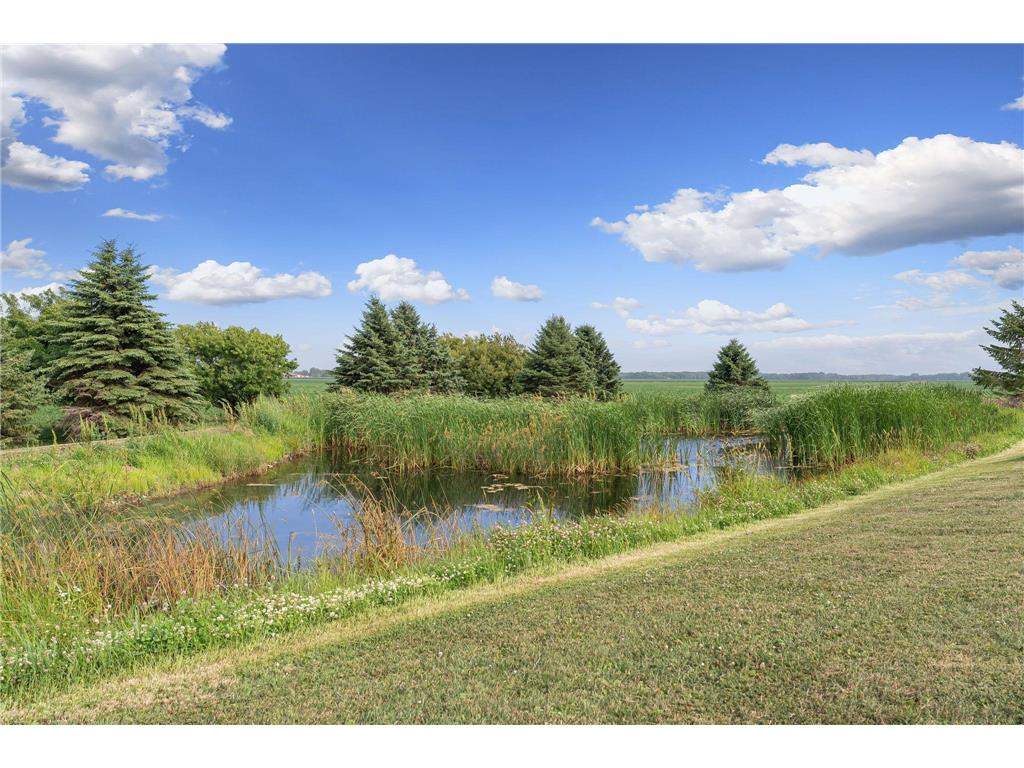 51413 150th Street Lyle Twp MN 55912 7103812 image3