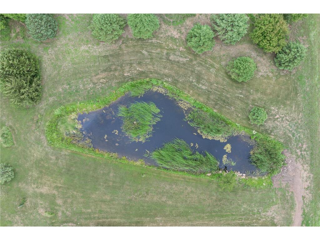 51413 150th Street Lyle Twp MN 55912 7103812 image4