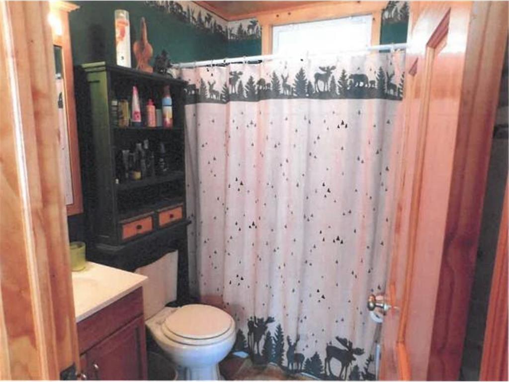 51418 County Highway 31 Detroit Lakes MN 56501 - Little Pelican 6738436 image8