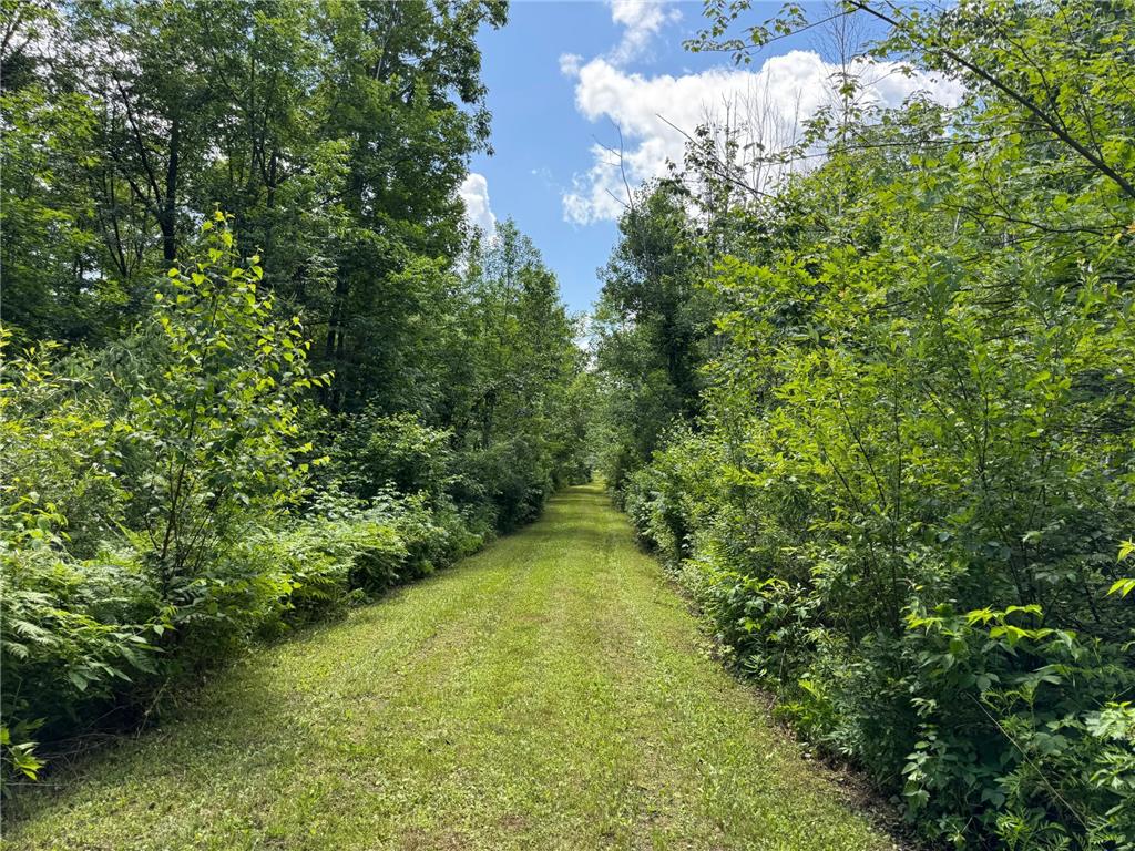 51440 Sand Creek Road Bruno MN 55712 6752933 image1