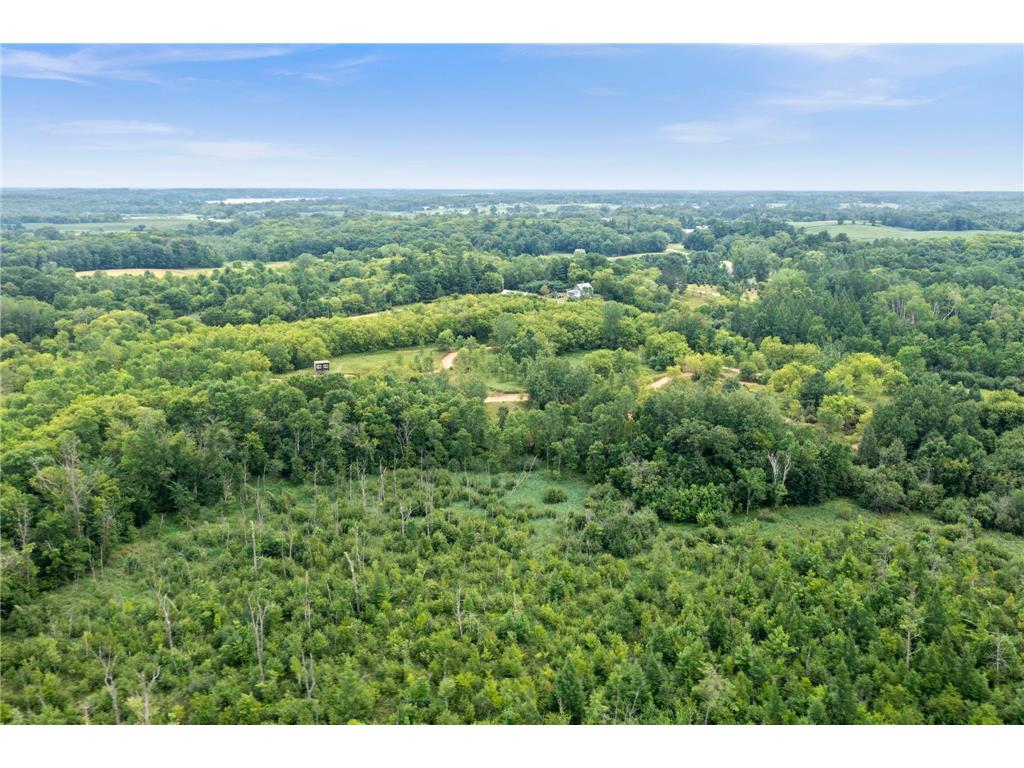 51452 Basswood Road W Stanchfield MN 55080 6767881 image11