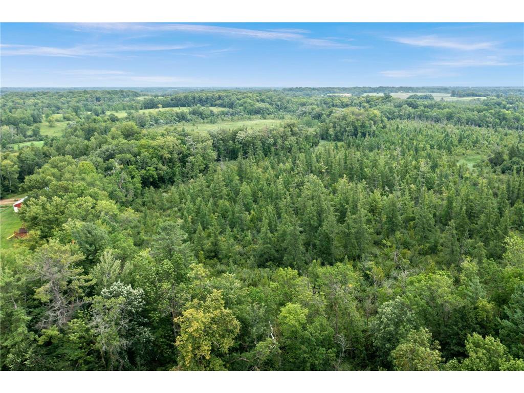51452 Basswood Road W Stanchfield MN 55080 6767881 image15