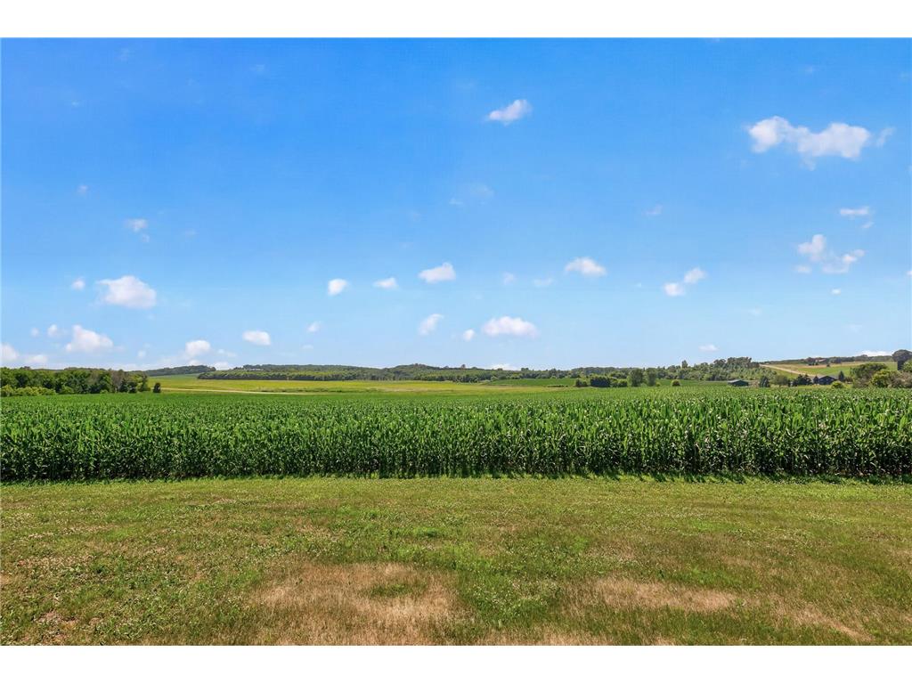 5146 Cleveland Street Wheatland Twp MN 55046 7115885 image39