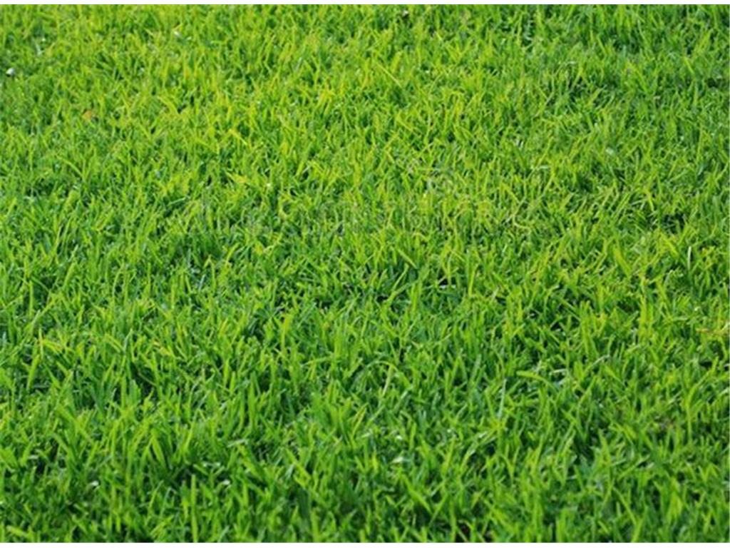 5149 Sydnie Road NW Rochester MN 55901 6745368 image1