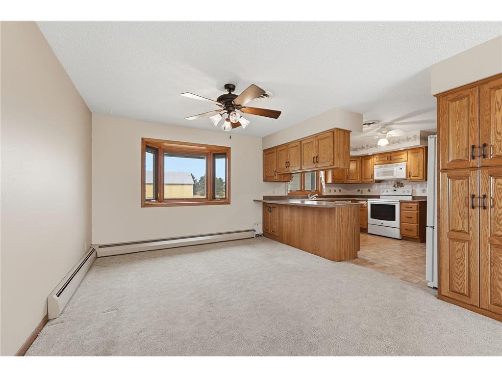 515 151st Street Springwater Twp MN 56156 7048455 image11