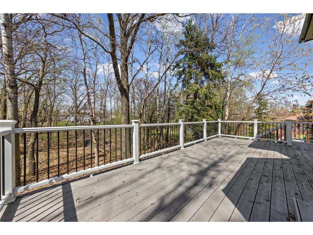515 Marnie Street S Maplewood MN 55119 7023343 image59