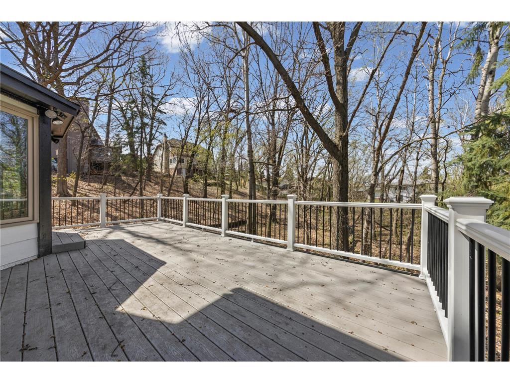 515 Marnie Street S Maplewood MN 55119 7023343 image60
