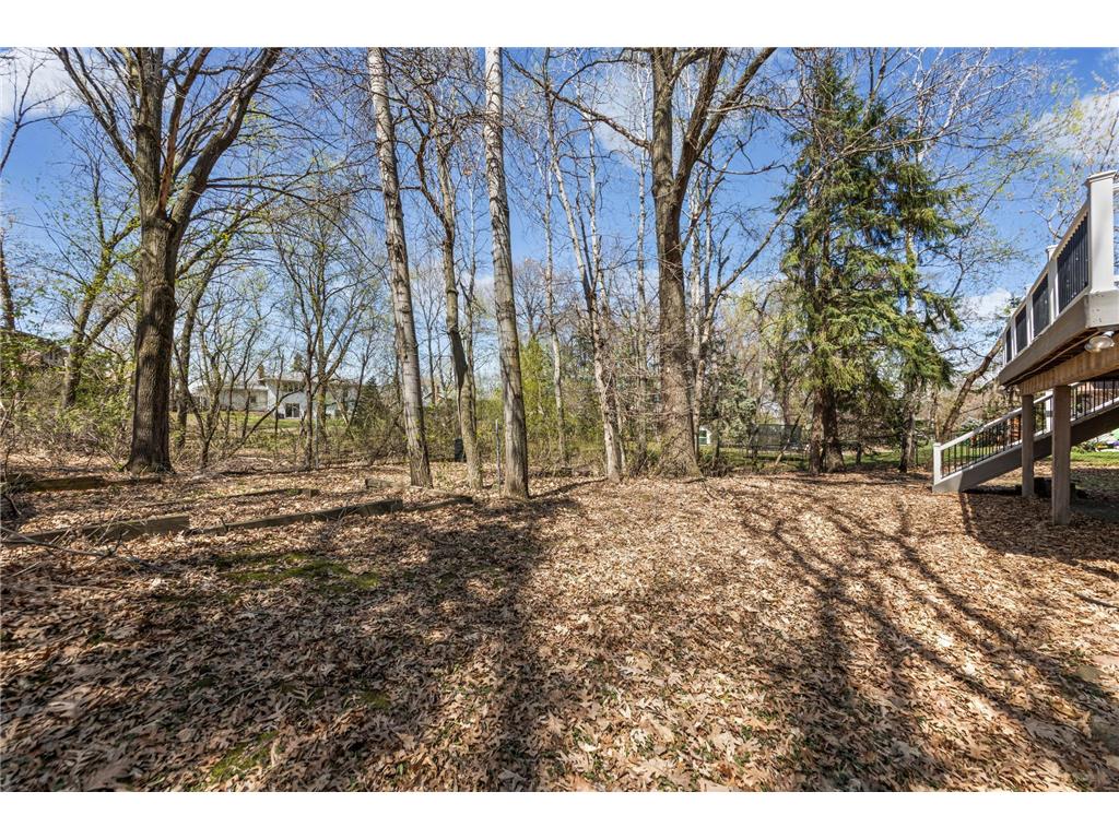 515 Marnie Street S Maplewood MN 55119 7023343 image66