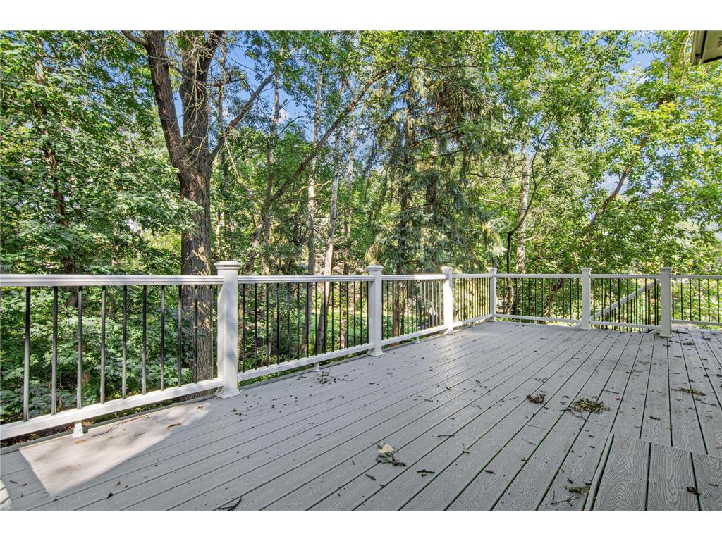 515 Marnie Street S Maplewood MN 55119 7023343 image68