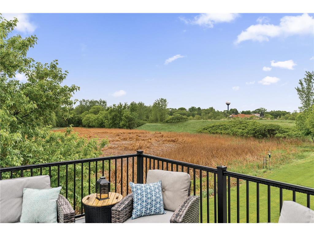 515 Marsh Path Norwood Young America MN 55397 6791062 image16