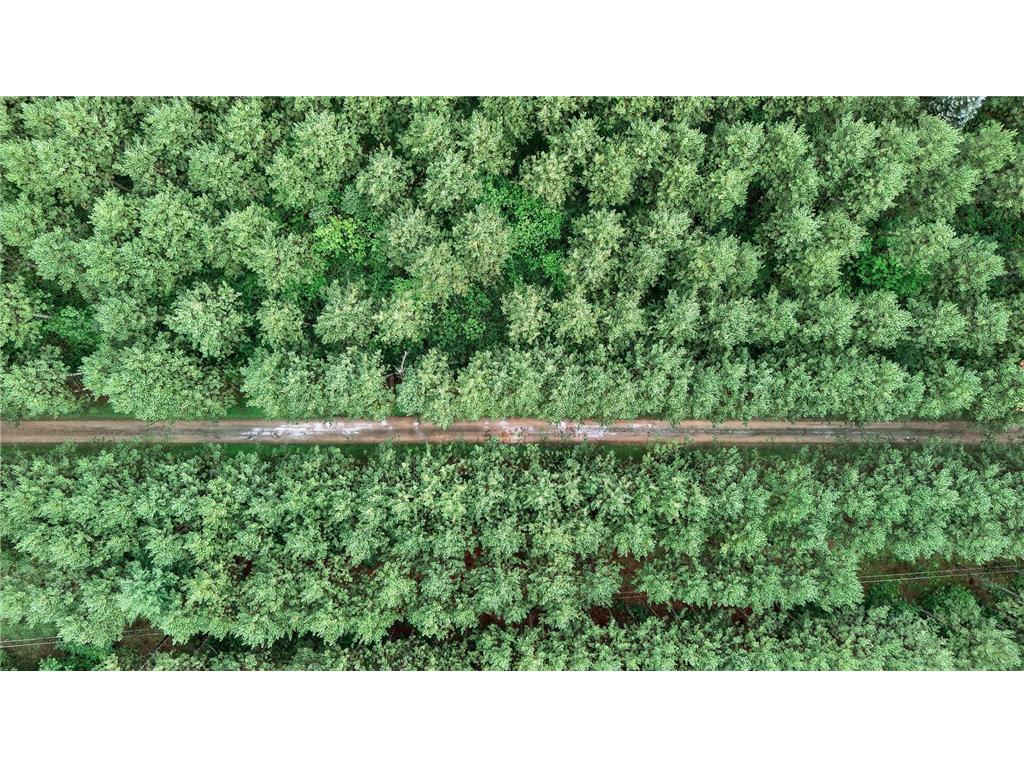 5150 417th Street North Branch MN 55056 - Chain Lake 6807735 image33