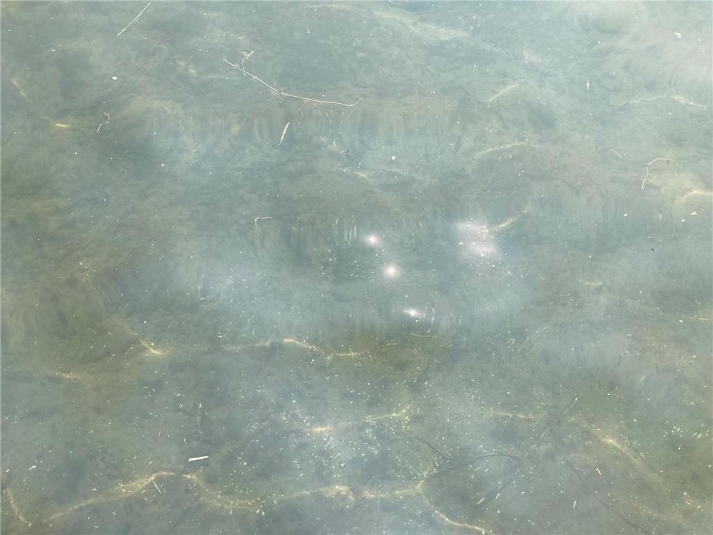 51509 County Hwy 9 Scambler Twp MN 56572 - Pelican 6826439 image45