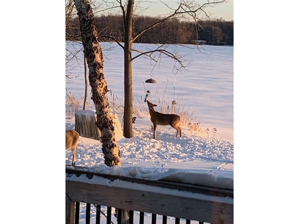 5151 Trillium Road, Wahkon, MN, 56386 MLS 6491145 Edina Realty