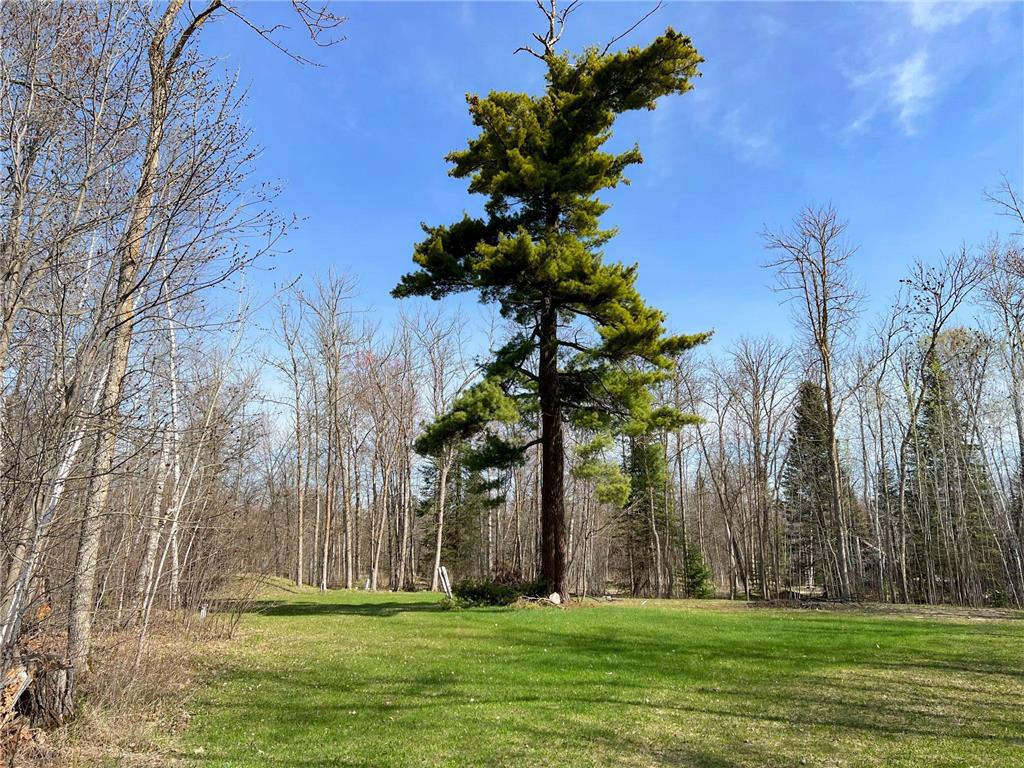 51584 Warbler Drive Farden Twp MN 56601 6369946 image1