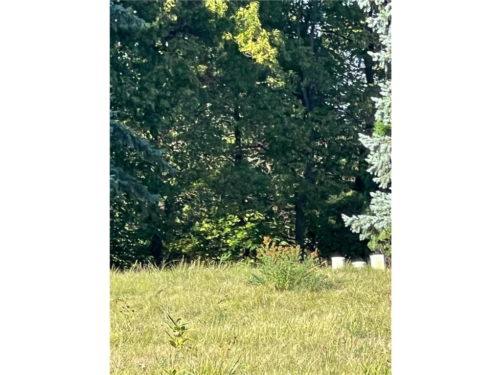 516 Clover Court Lake City MN 55041 6526901 image2