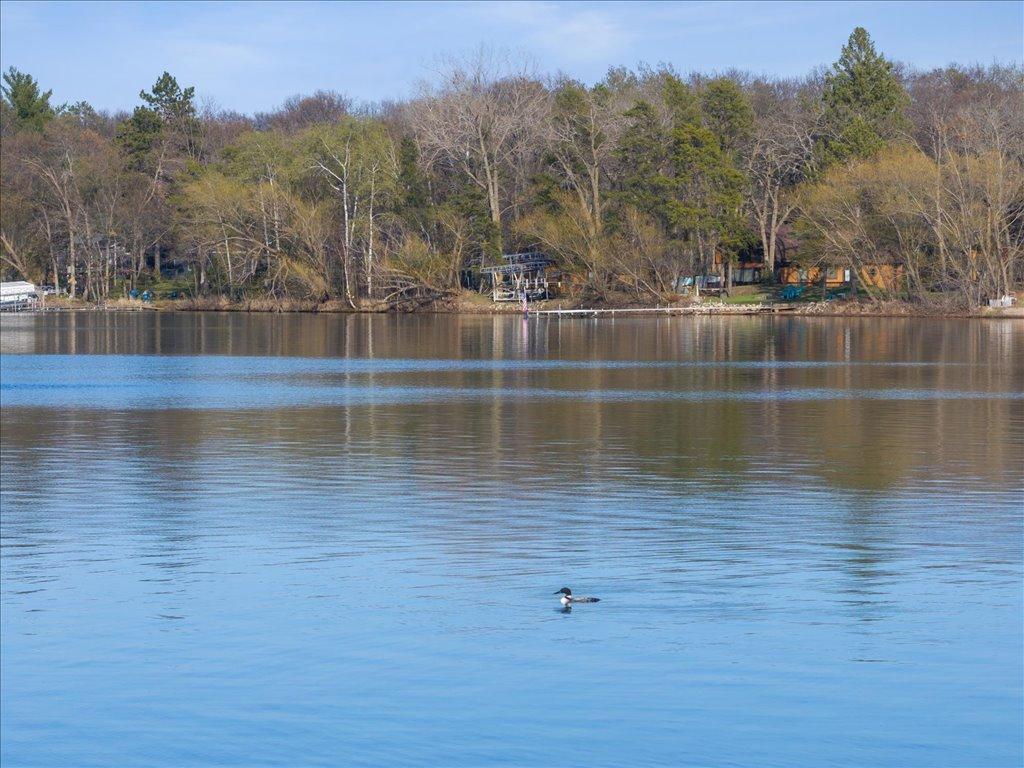 5163 Crow Wing Lake Road, Fort Ripley Twp, MN, 56449 MLS 6510945 Edina Realty