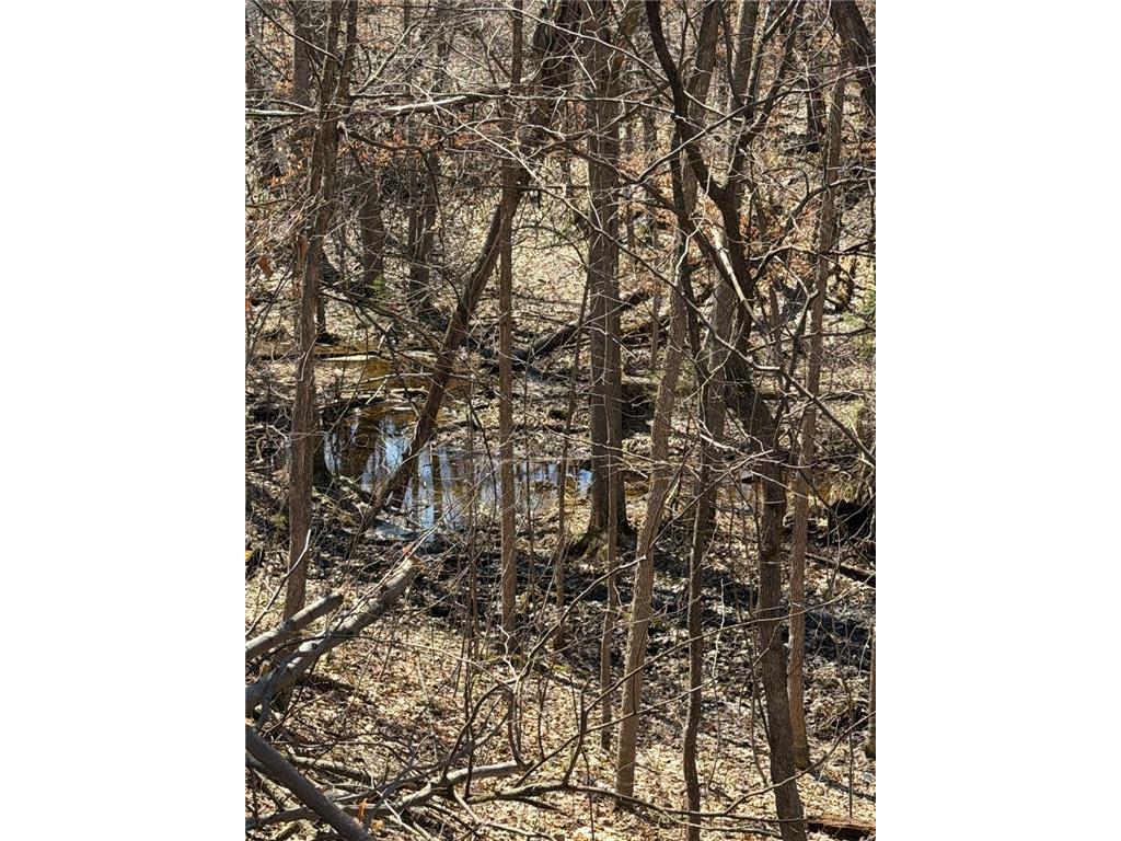 51692 385th Street New York Mills MN 56567 7055422 image63