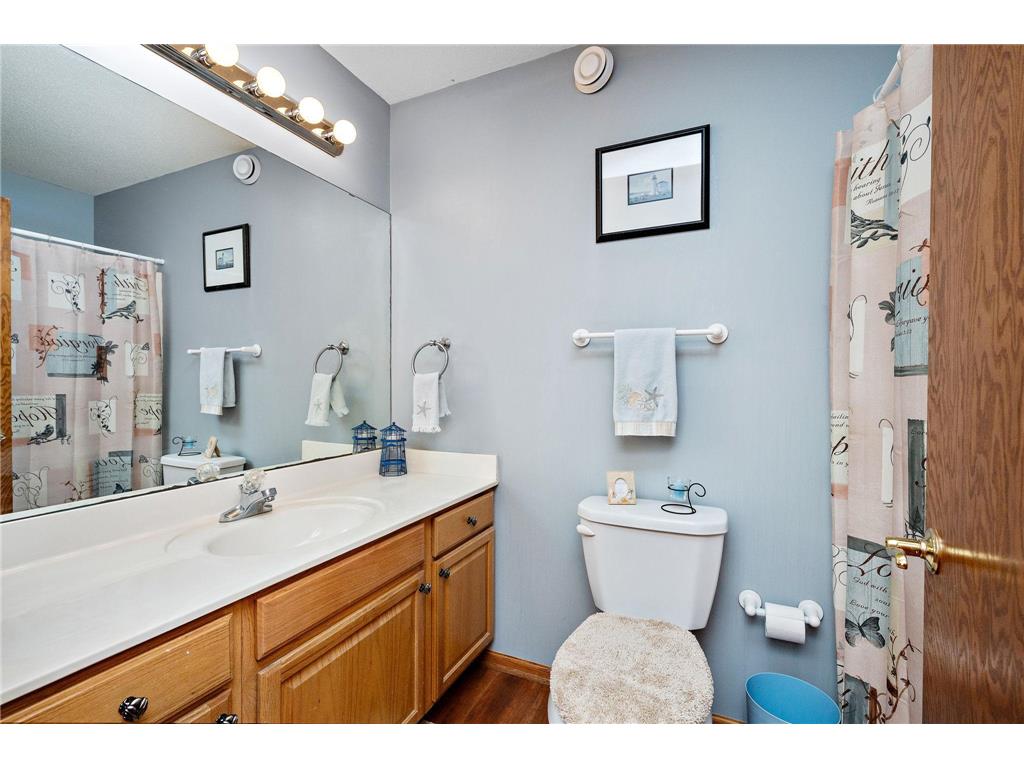 517 Buffalo Run Road Buffalo MN 55313 7025631 image15