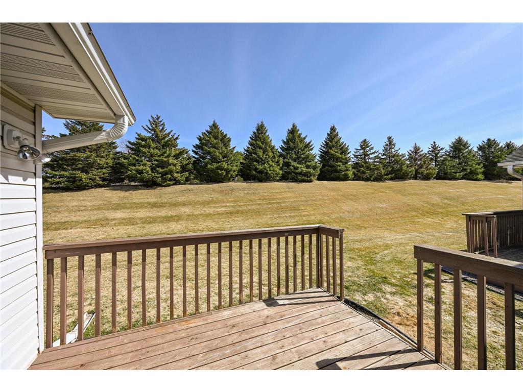 517 Buffalo Run Road Buffalo MN 55313 7025631 image22