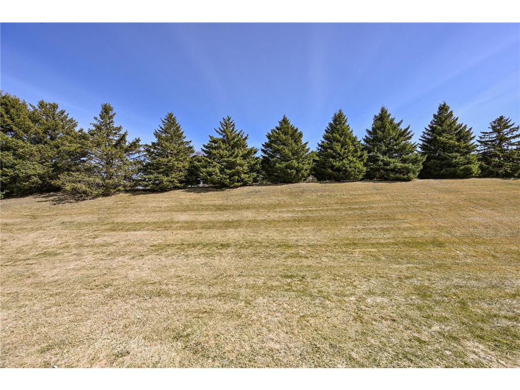 517 Buffalo Run Road Buffalo MN 55313 7025631 image25