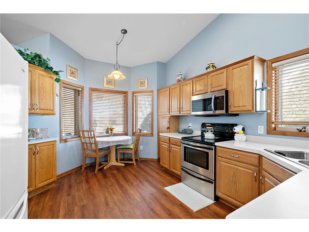 517 Buffalo Run Road Buffalo MN 55313 7025631 image4