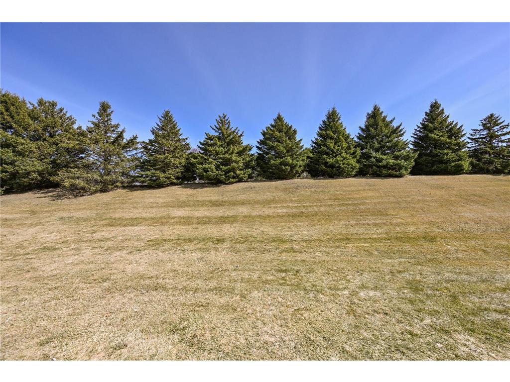 517 Buffalo Run Road Buffalo MN 55313 7074864 image25