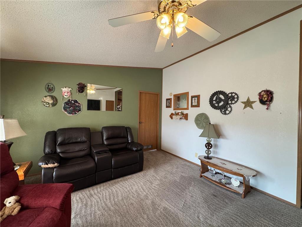 517 Locust Avenue Marshall MN 56258 6775756 image12