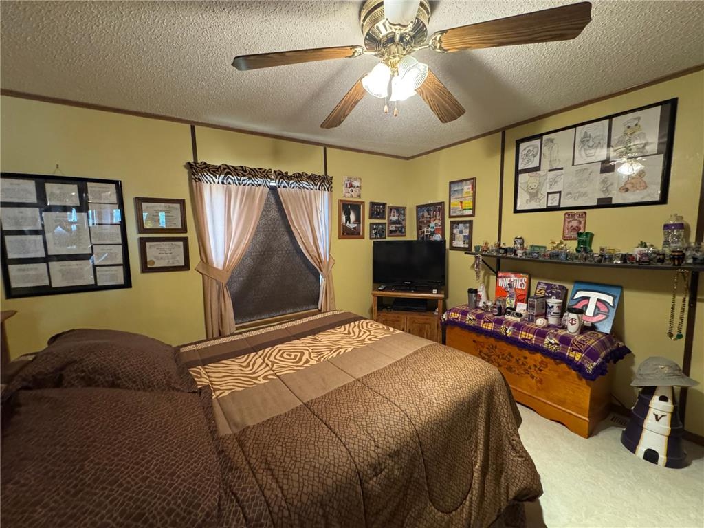 517 Locust Avenue Marshall MN 56258 6775756 image25