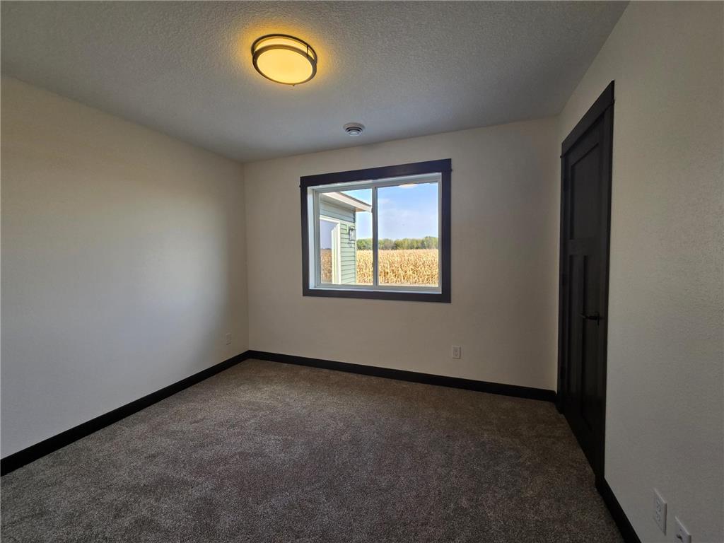 517 Lynch Street Arlington MN 55307 7064082 image13