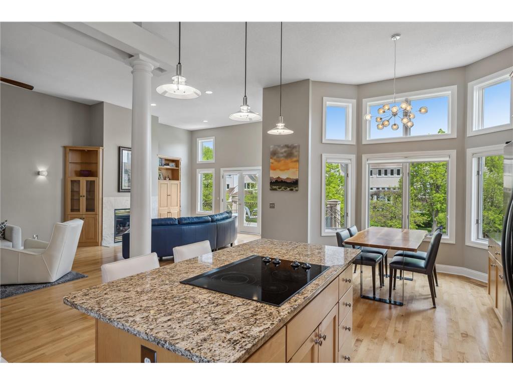 517 River Street Minneapolis MN 55401 6792049 image19