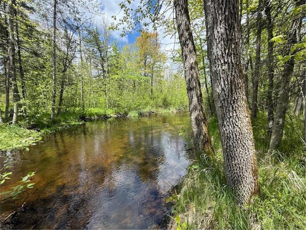 51791 Riverside Lane Dell Grove Twp MN 55072 - Grindstone River 6727159 image1
