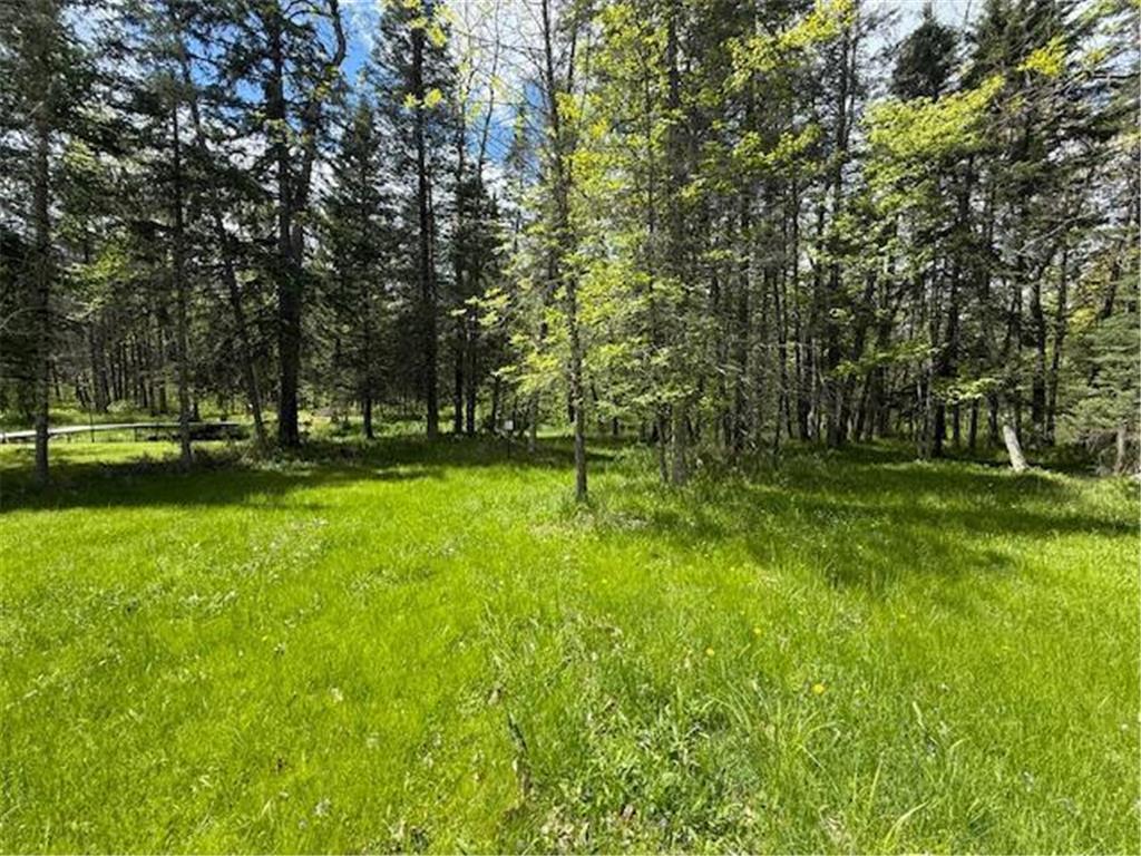 51791 Riverside Lane Dell Grove Twp MN 55072 - Grindstone River 6727159 image33