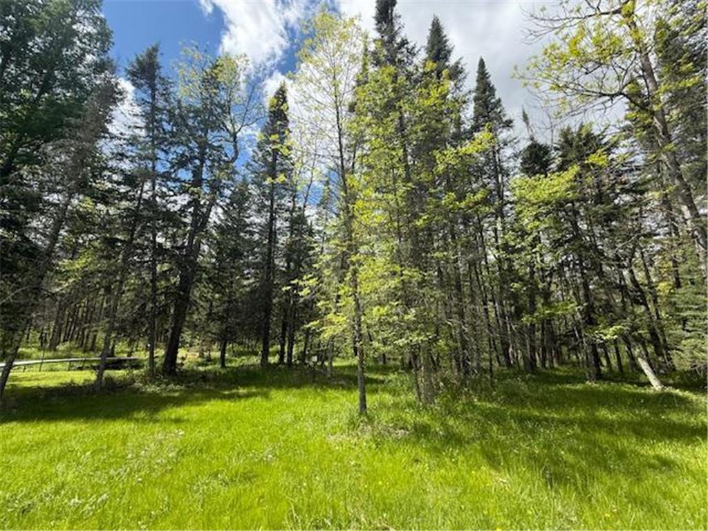 51791 Riverside Lane Dell Grove Twp MN 55072 - Grindstone River 6727159 image34