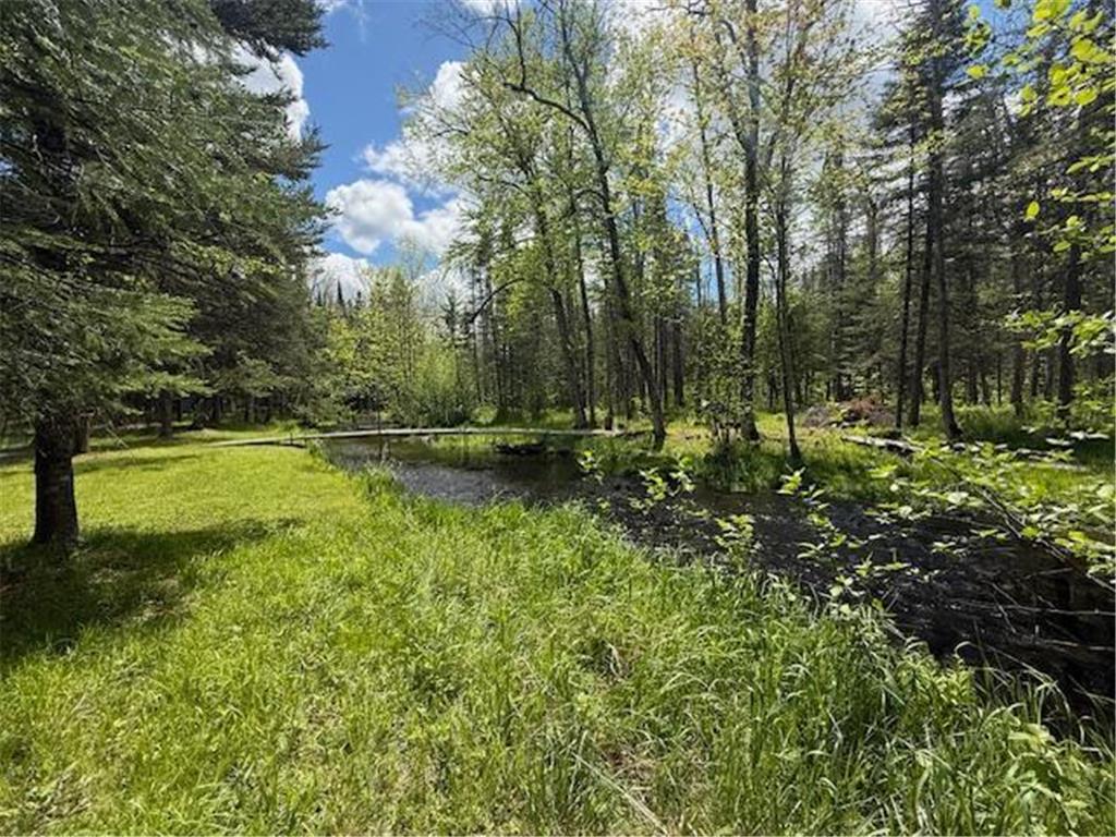 51791 Riverside Lane Dell Grove Twp MN 55072 - Grindstone River 6727159 image35