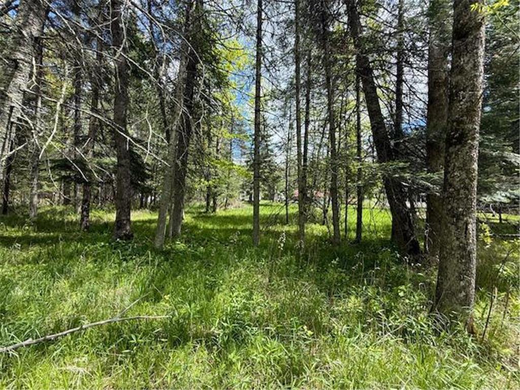 51791 Riverside Lane Dell Grove Twp MN 55072 - Grindstone River 6727159 image36