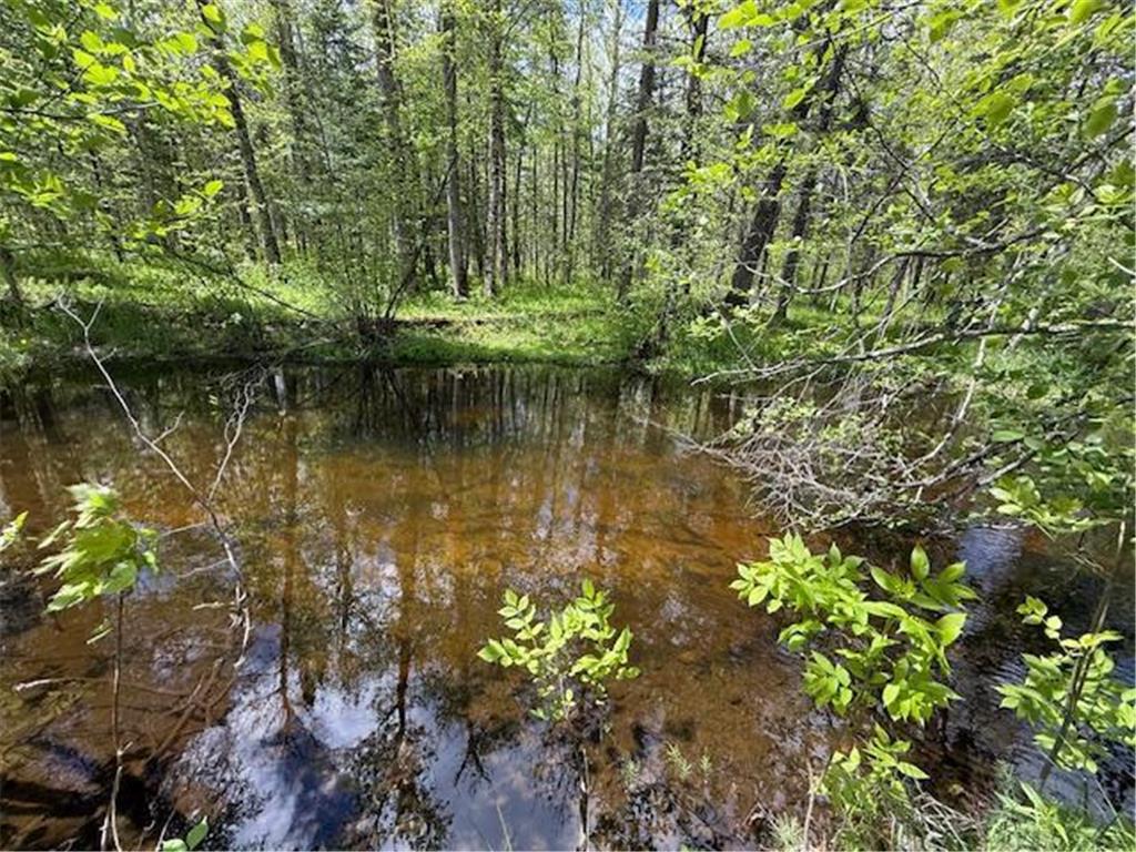 51791 Riverside Lane Dell Grove Twp MN 55072 - Grindstone River 6727159 image37