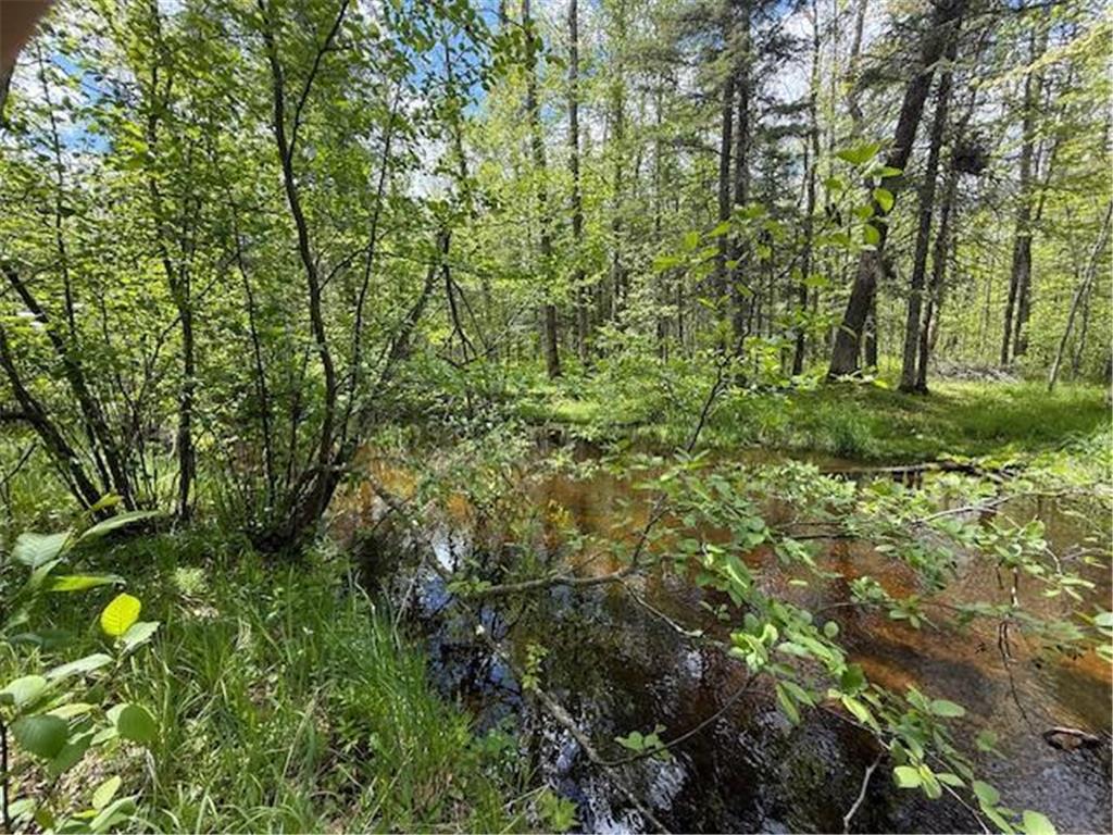 51791 Riverside Lane Dell Grove Twp MN 55072 - Grindstone River 6727159 image39