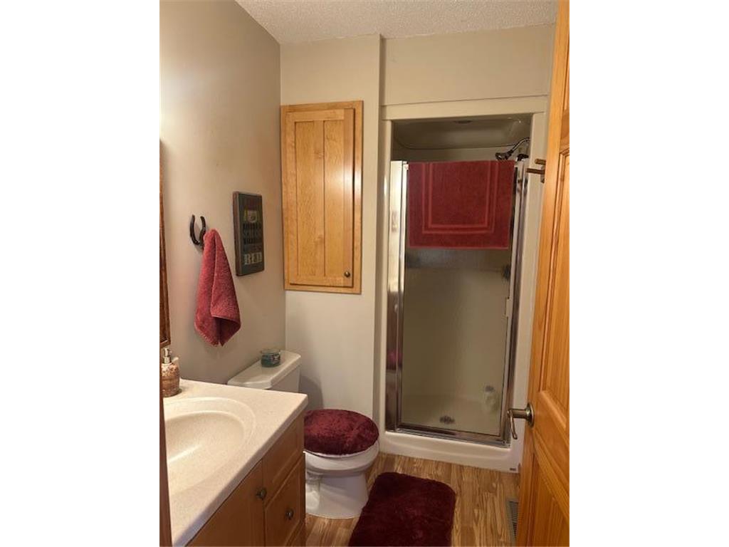 51792 Wildflower Drive Farden Twp MN 56601 - Grace Lake 7090548 image18