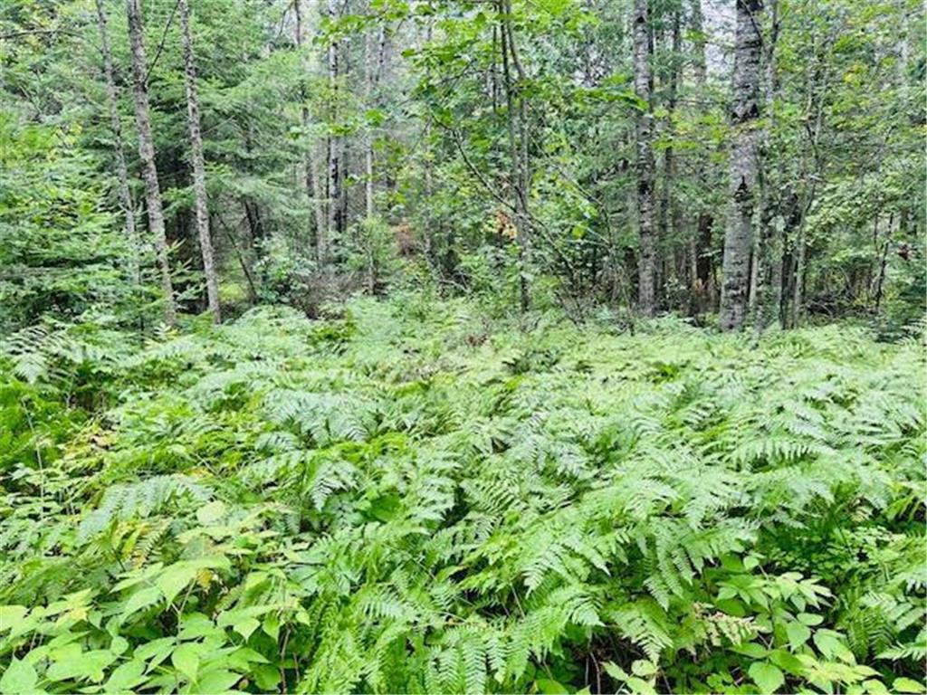 51801 Townhall Road Squaw Lake MN 56681 6575787 image1