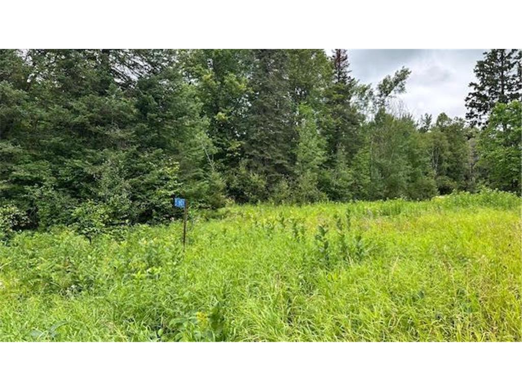 51801 Townhall Road Squaw Lake MN 56681 6575787 image2