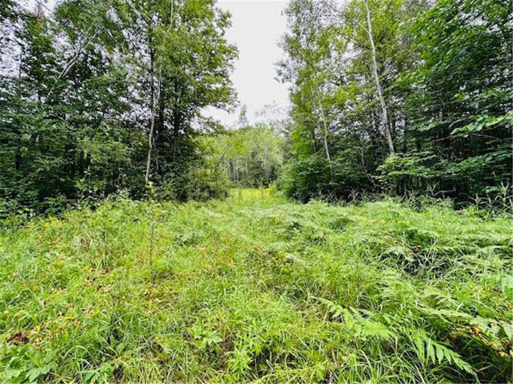 51801 Townhall Road Squaw Lake MN 56681 6575787 image3