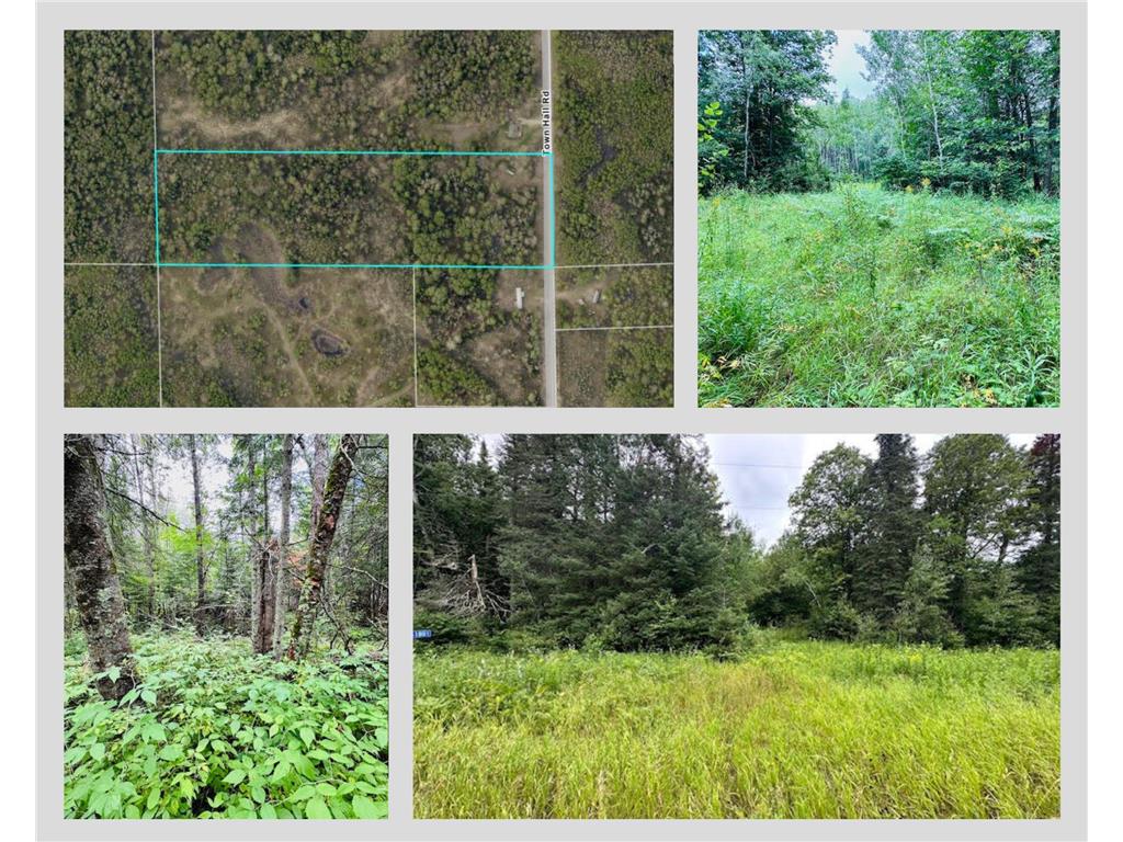 51801 Townhall Road Squaw Lake MN 56681 6575787 image9