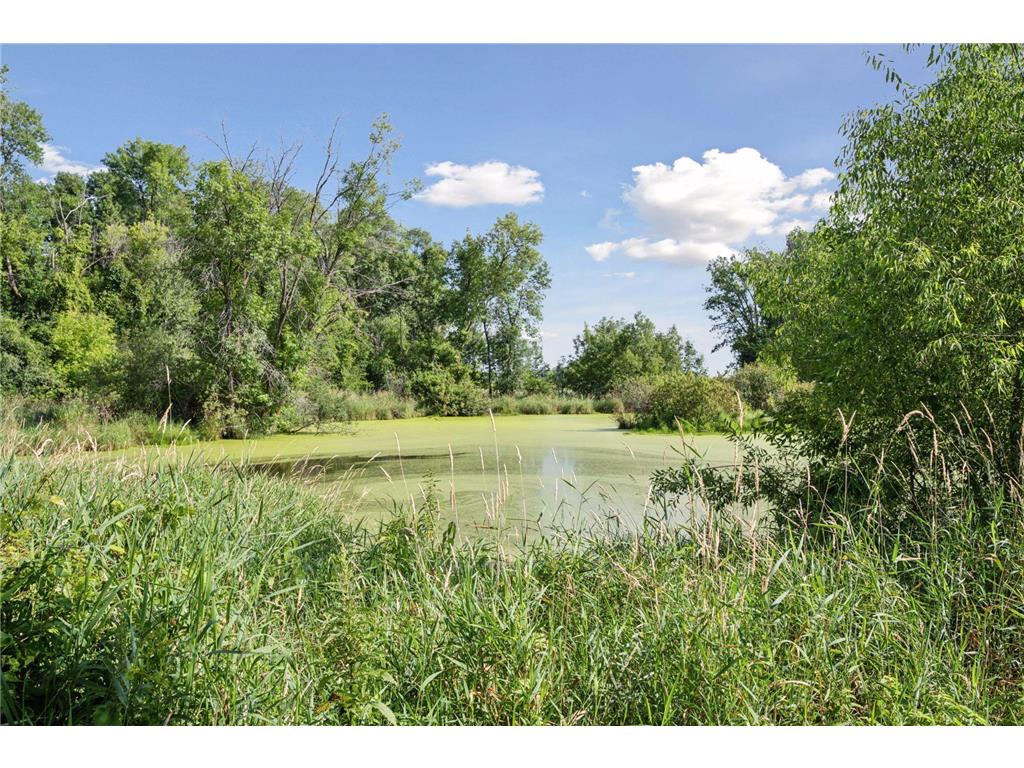 51823 Birch Avenue Rush City MN 55069 - West Rush 6761799 image29